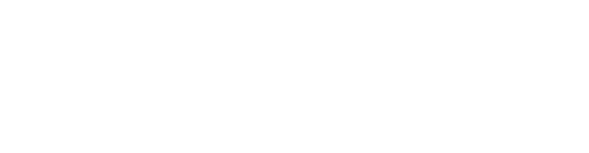Online Huiswerkklas